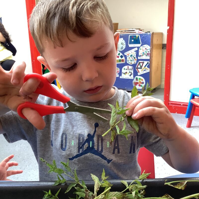 HETTY Preschool Nursery and preschool in Hoole, Chester